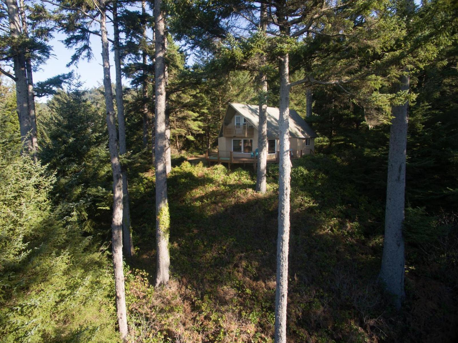 Villa The Cedar House Otter Rock Esterno foto